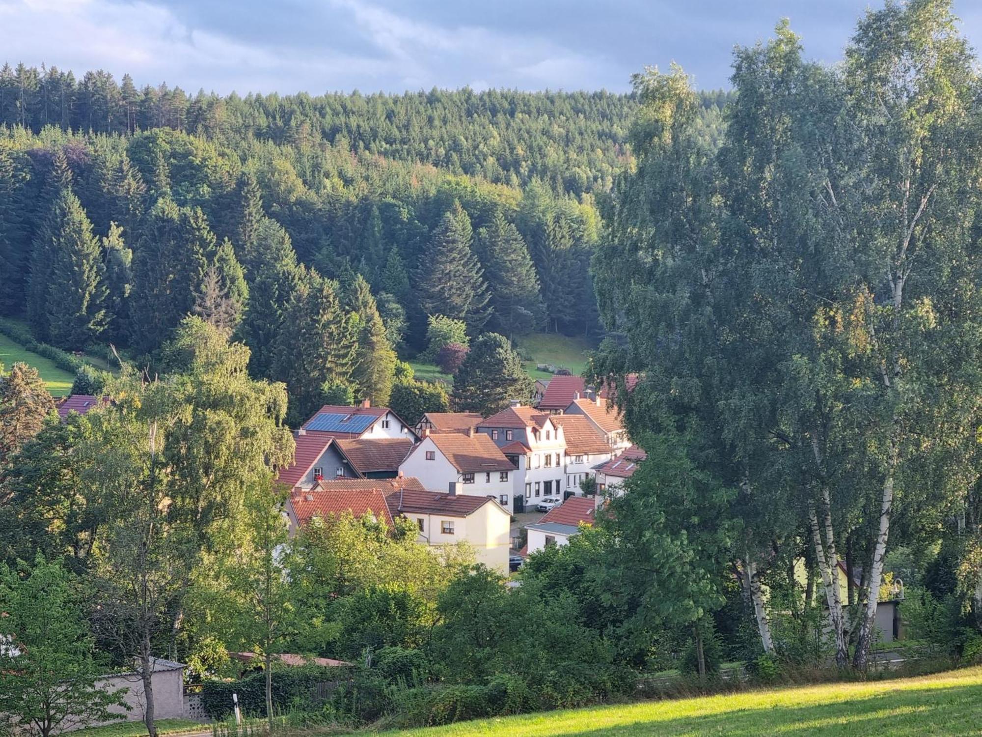 Superior - Ferienhaus Am Engelsbach Im Thueringer Wald Eksteriør bilde
